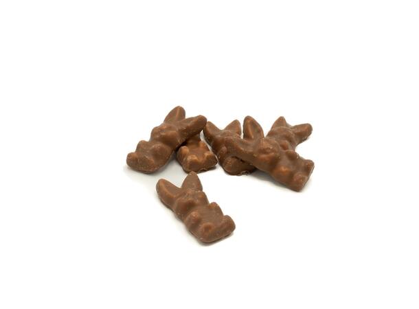Aroma Chokobunny 1,8 KG 