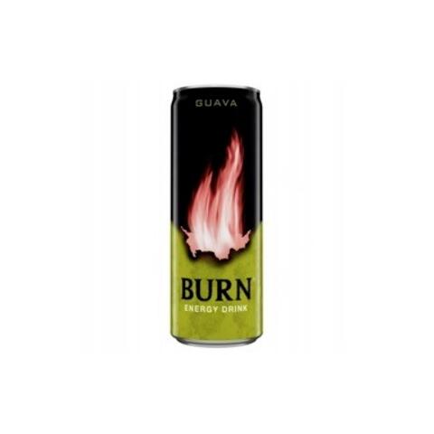 BURN GUAVA 25CL 1X12