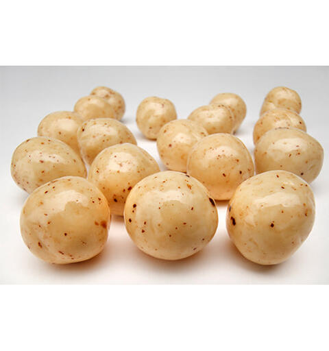 Popcorn Vit Choklad Salt 6kg - 139 kr/kg
