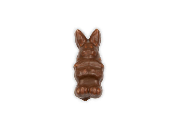 Chokoskumhare 1,2kg - 77 kr/kg 