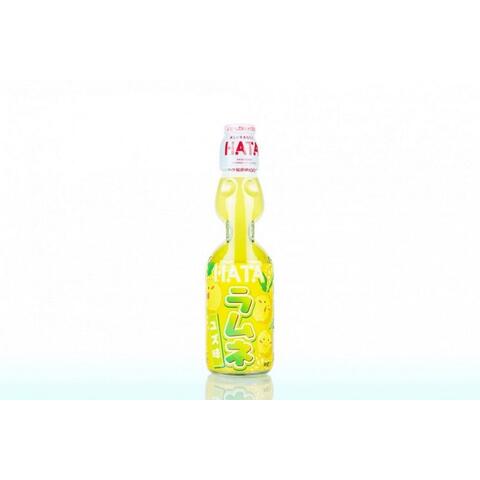 HATA KOSEN Bottle Ramune Yuzu 200mlx30
