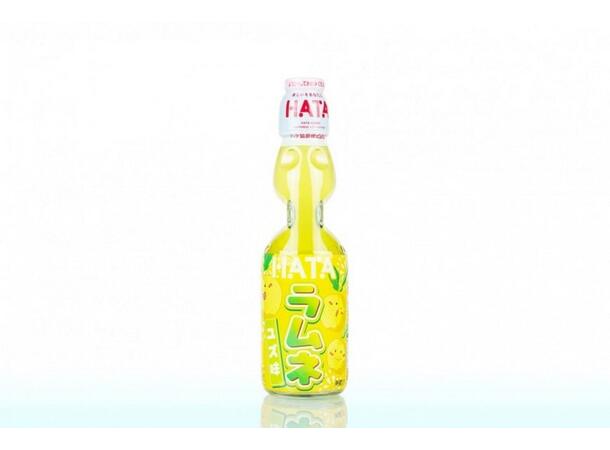 HATA KOSEN Bottle Ramune Yuzu 200mlx30 