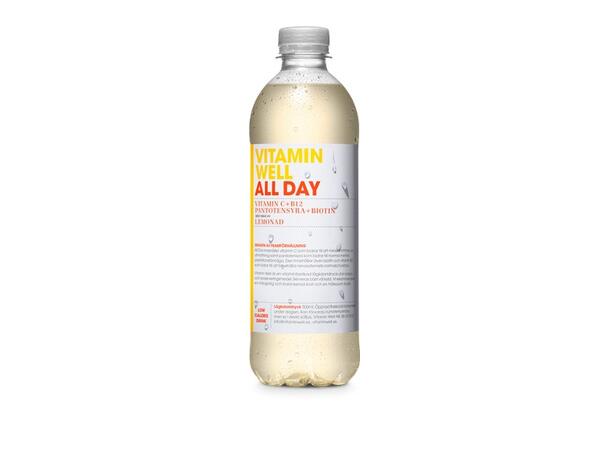 Vitamin Well All Day 50cl 1x12 