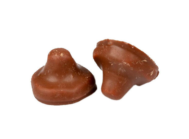 CHOKLADSVAMP - 1,2 kg 